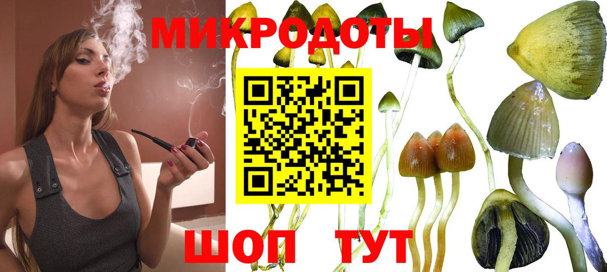 Галлюциногенные грибы ЛСД Ржев